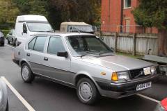 21_Autumn_Leaves_Sat_-008