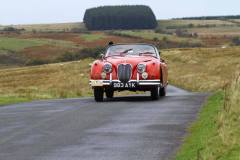 21_Autumn_Leaves_Sat_-063