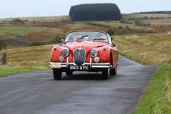 21_Autumn_Leaves_Sat_-064