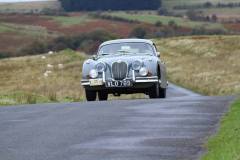 21_Autumn_Leaves_Sat_-132