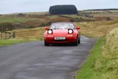 21_Autumn_Leaves_Sat_-156