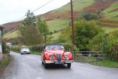 21_Autumn_Leaves_Sat_-231