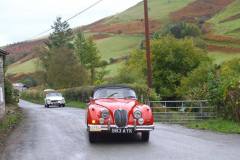 21_Autumn_Leaves_Sat_-232