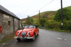 21_Autumn_Leaves_Sat_-233