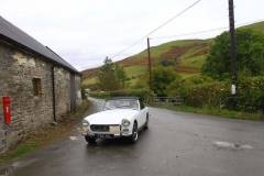 21_Autumn_Leaves_Sat_-236