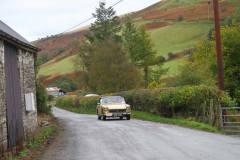 21_Autumn_Leaves_Sat_-239