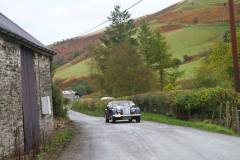 21_Autumn_Leaves_Sat_-259