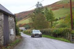 21_Autumn_Leaves_Sat_-281