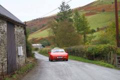 21_Autumn_Leaves_Sat_-306