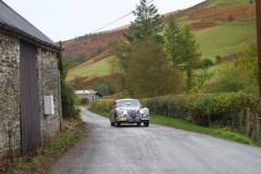 21_Autumn_Leaves_Sat_-317