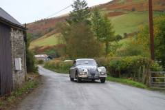 21_Autumn_Leaves_Sat_-318