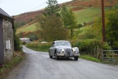 21_Autumn_Leaves_Sat_-319