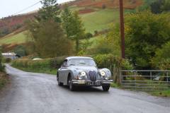 21_Autumn_Leaves_Sat_-320