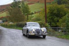 21_Autumn_Leaves_Sat_-321