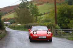 21_Autumn_Leaves_Sat_-328