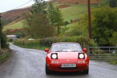 21_Autumn_Leaves_Sat_-329