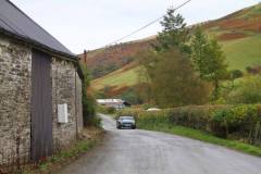 21_Autumn_Leaves_Sat_-334