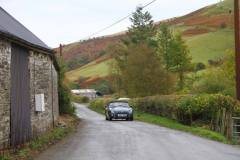 21_Autumn_Leaves_Sat_-336