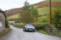 21_Autumn_Leaves_Sat_-338