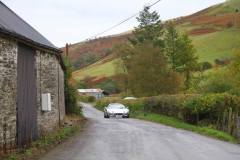 21_Autumn_Leaves_Sat_-347