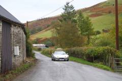 21_Autumn_Leaves_Sat_-348