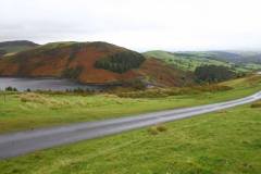 21_Autumn_Leaves_Sun-001