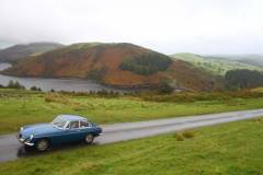 21_Autumn_Leaves_Sun-030