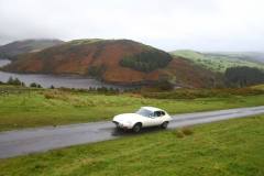 21_Autumn_Leaves_Sun-036