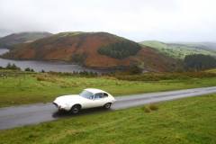 21_Autumn_Leaves_Sun-037