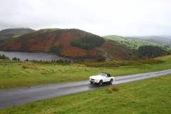 21_Autumn_Leaves_Sun-048