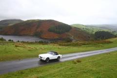 21_Autumn_Leaves_Sun-050