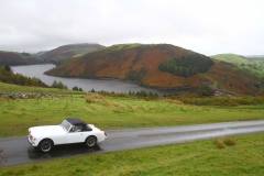 21_Autumn_Leaves_Sun-051