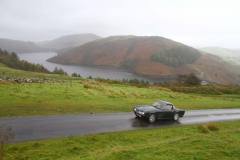 21_Autumn_Leaves_Sun-064