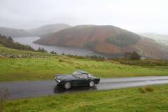 21_Autumn_Leaves_Sun-065