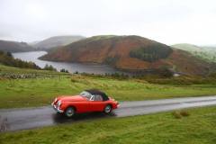 21_Autumn_Leaves_Sun-075