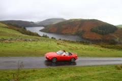 21_Autumn_Leaves_Sun-090