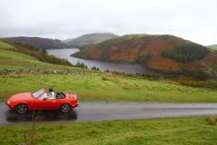 21_Autumn_Leaves_Sun-091