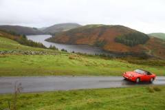 21_Autumn_Leaves_Sun-095