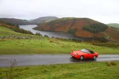 21_Autumn_Leaves_Sun-096