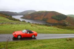 21_Autumn_Leaves_Sun-098