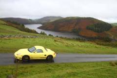 21_Autumn_Leaves_Sun-107