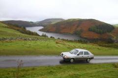 21_Autumn_Leaves_Sun-109