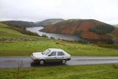 21_Autumn_Leaves_Sun-110