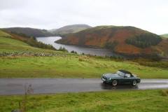 21_Autumn_Leaves_Sun-112