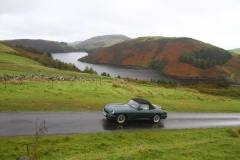 21_Autumn_Leaves_Sun-113