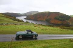 21_Autumn_Leaves_Sun-114