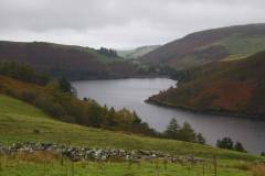 21_Autumn_Leaves_Sun-115