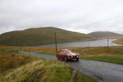 21_Autumn_Leaves_Sun-139