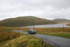 21_Autumn_Leaves_Sun-154