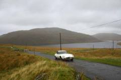 21_Autumn_Leaves_Sun-162